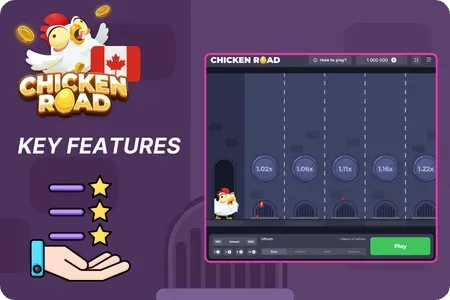 Chicken Road Features